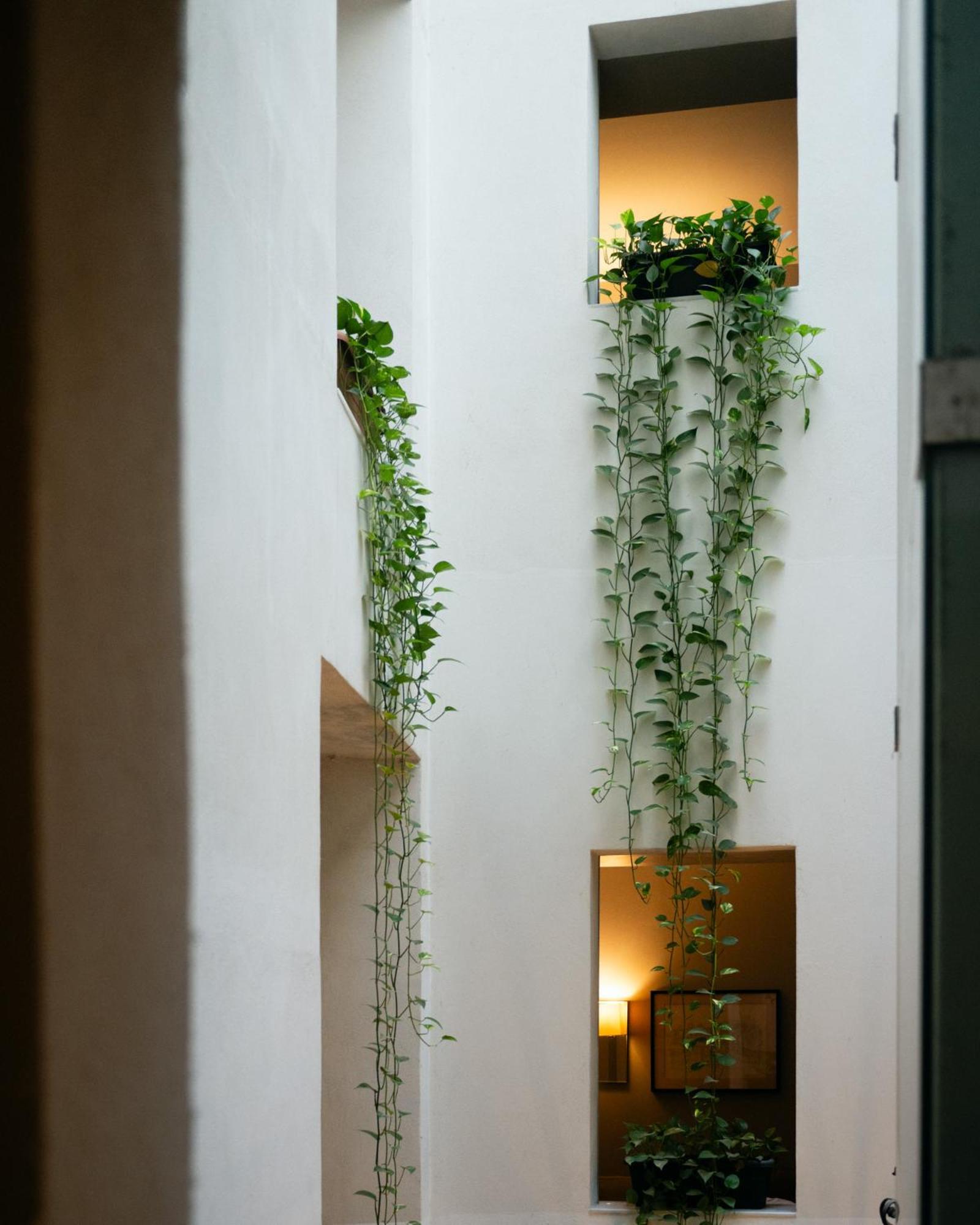 Hotel Ramblas Internacional Barcelona Buitenkant foto
